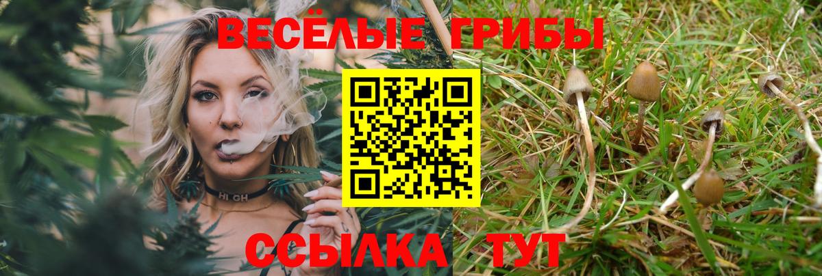 Кулебаки  Галлюциногенные грибы Psilocybe  Вход с VPN 